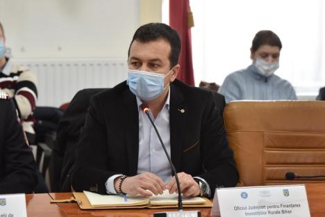 Pădurile din Bihor în 2021: De două ori mai multe lemne tăiate ilegal, găsite de Direcţia Silvică (FOTO)