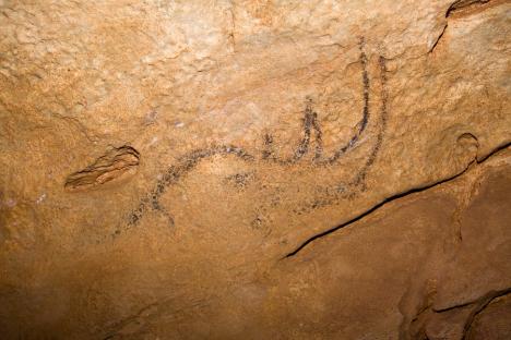 Imagini cu picturile paleolitice din peștera Coliboaia, cele mai vechi din Europa Centrală, expuse la Muzeul din Beiuș (FOTO)