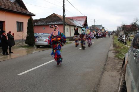 Sărbătoare la Roşia: Zeci de colindători au cântat şi dansat pe străzile comunei (FOTO)