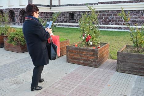 Mama gemenelor Jurcan, la comemorarea victimelor accidentelor rutiere din Bihor: 'Viteza ucide, indiferent de marca maşinii' (FOTO)