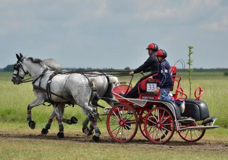 Cefa găzduieşte în weekend Campionatului Internaţional de Atelaje cu doi şi patru cai