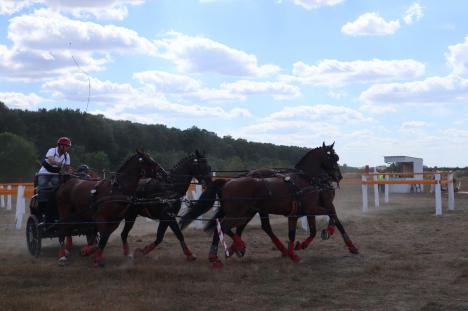Concurenți din șapte țări în Oșorhei, la cea mai mare competiție de atelaje cu cai din România (FOTO / VIDEO)