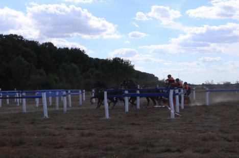 Concurenți din șapte țări în Oșorhei, la cea mai mare competiție de atelaje cu cai din România (FOTO / VIDEO)