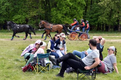 Spectacol cu cai, la Oșorhei, la un concurs internațional de atelaje cu participare record. Bihorul ar putea găzdui și campionatul mondial! (FOTO)