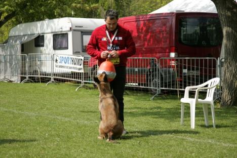 Orădeanul Alexandru Bondar și câinele său, Dilara, medaliați la Campionatul Mondial de Mondioring din Germania (FOTO)