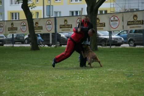 Orădeanul Alexandru Bondar și câinele său, Dilara, medaliați la Campionatul Mondial de Mondioring din Germania (FOTO)