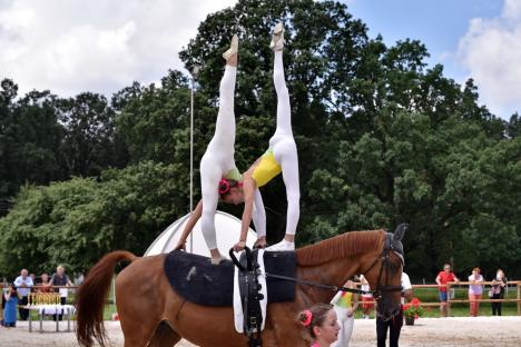 Show spectaculos în Bihor: Mai multe sportive s-au întrecut în acrobații pe cai (FOTO / VIDEO)