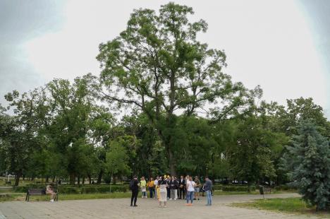 Candidaţi ai AUR în Parcul 1 Decembrie din Oradea: „Extremişti sunt cei care promovează căsătoriile alternative' (FOTO)