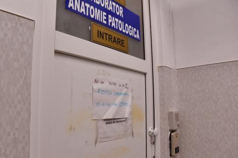 Încep două șantiere mari la Spitalul Județean din Oradea. Se închide intrarea principală și se amenajează un nou acces, lângă morgă (FOTO)