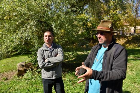 Natura de lângă noi: Malurile Crișului Repede din Oradea ar putea deveni o zonă protejată (FOTO)