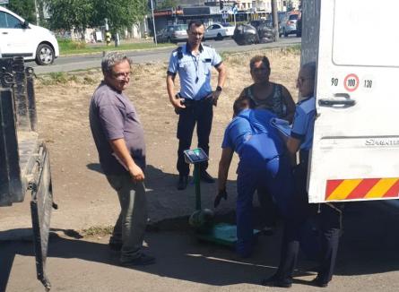 Poliţia Locală Oradea a confiscat două tone de pepeni. Erau vânduţi în locuri neautorizate (FOTO)