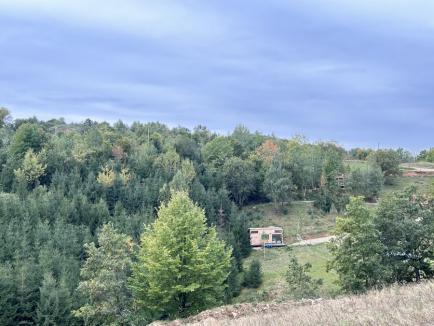 O vizită la Coniferis: Descoperă căsuțele idilice de lângă pădure, cu luminițe, „cinema”, leagăne și jacuzzi! (FOTO)