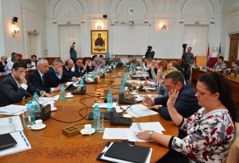 Unanimitate: Consiliul Local a aprobat bugetul Oradiei pe 2017, în valoare de un miliard de lei