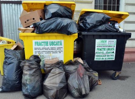 RER Ecologic Service, fără vacanţă: Joi şi vineri, deşeurile se vor colecta după programul obişnuit