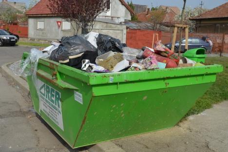 Campania de curăţenie de primăvară continuă în sectorul Decebal-Calea Aradului