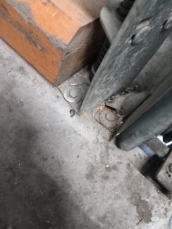 Un magazin Penny din Bihor a fost închis din cauza mizeriei, a excrementelor de șoareci şi a spaţiilor insalubre (FOTO/VIDEO)