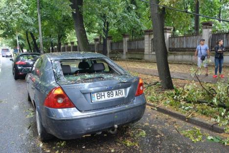 Furtuna, în Oradea: Un copac de pe strada Matei Basarab s-a prăbuşit peste o maşină în mers (FOTO)