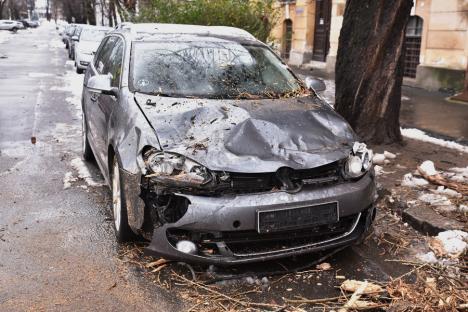 FOTO/VIDEO: Un copac a căzut peste două mașini, în centrul Oradiei