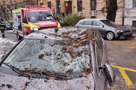 FOTO/VIDEO: Un copac a căzut peste două mașini, în centrul Oradiei