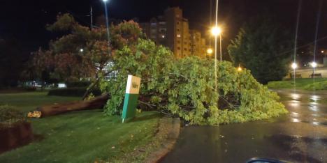 O noapte furtunoasă în Oradea: Străzi inundate, copaci căzuți și... suporteri însuflețiți (FOTO/VIDEO)