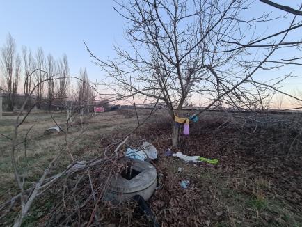 Podoabe nedorite: Copac împodobit cu gunoaie, în Oradea (FOTO)