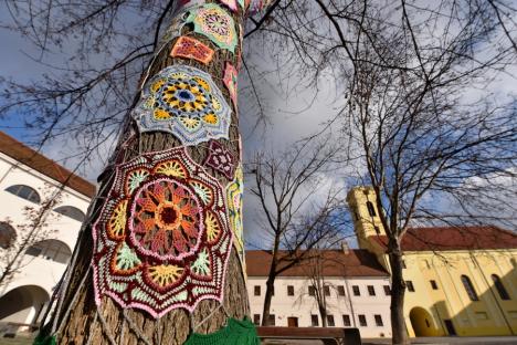 Jos pălăria! Un copac din Cetatea Oradea a fost „croşetat” de sărbătoare (FOTO)
