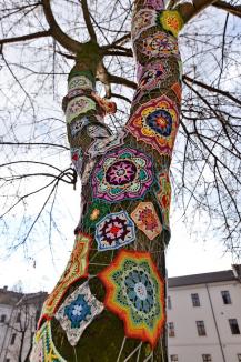 Jos pălăria! Un copac din Cetatea Oradea a fost „croşetat” de sărbătoare (FOTO)