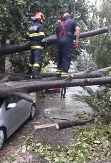 200 de apeluri 112 în Bihor! ISU Crișana: zeci de copaci pe carosabil și mașini, drumuri naționale blocate după furtunile de marți (FOTO/VIDEO)