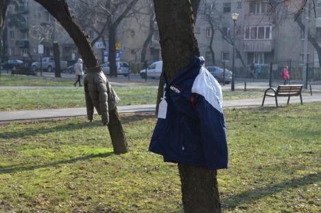 Copaci îmbrăcaţi: Două tinere îi îndeamnă pe orădeni să lase în copaci haine groase pentru săraci (FOTO)
