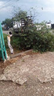 Cod portocaliu de furtuni în Bihor: Copaci rupți și stâlpi doborâți de ploi cu grindină (VIDEO / FOTO)