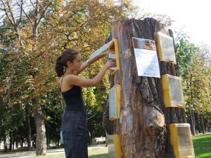 'Copacul cu cărţi', din arbori tăiaţi şi reciclaţi din şantierele oraşului: În parcurile 1 Decembrie şi Brătianu au fost amplasate mici biblioteci eco (FOTO / VIDEO)