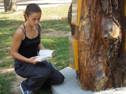 'Copacul cu cărţi', din arbori tăiaţi şi reciclaţi din şantierele oraşului: În parcurile 1 Decembrie şi Brătianu au fost amplasate mici biblioteci eco (FOTO / VIDEO)