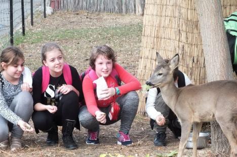 Zoo Oradea, o atracţie în cadrul Săptămânii Altfel: Peste 1.300 de elevi în vizită (FOTO)