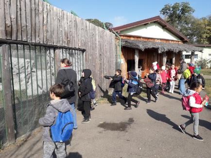 Zoo Oradea, o atracţie în cadrul Săptămânii Altfel: Peste 1.300 de elevi în vizită (FOTO)