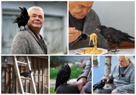 Iubire de... corb: Un bihorean din Ineu de Criș a ajuns nedespărțit de o pasăre pe care a crescut-o de mică! (FOTO/VIDEO)