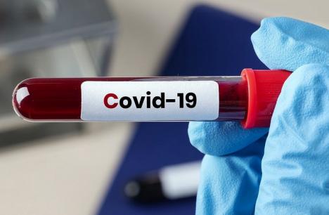 O nouă creștere importantă a numărului de infectați cu coronavirus în Bihor: 22 de noi diagnosticați, în total sunt peste 600!