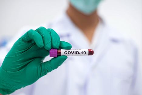 Peste 240 de cazuri noi de Covid-19 în țară, dintre care 4 în Bihor  