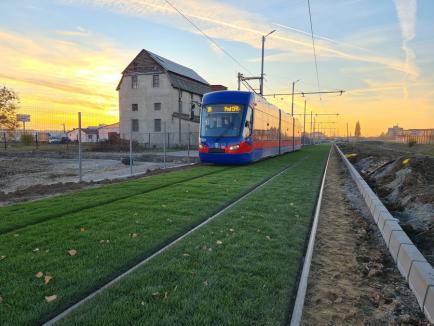 Calea verde: Constructorii au început înierbarea noii linii de tramvai Nufărul-Cantemir din Oradea (FOTO)