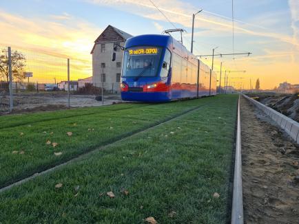 Calea verde: Constructorii au început înierbarea noii linii de tramvai Nufărul-Cantemir din Oradea (FOTO)