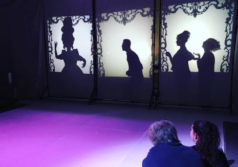 'Crăiasa zăpezii şi oglinda fermecată': Teatru de umbre pentru copii, la Teatrul Arcadia