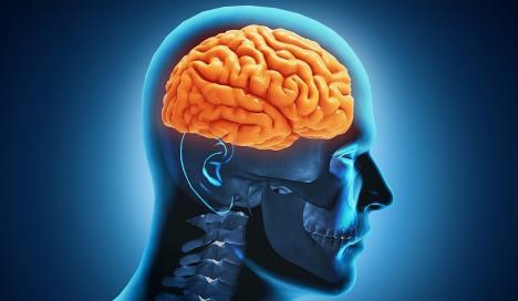 Şapte mituri despre mintea umană