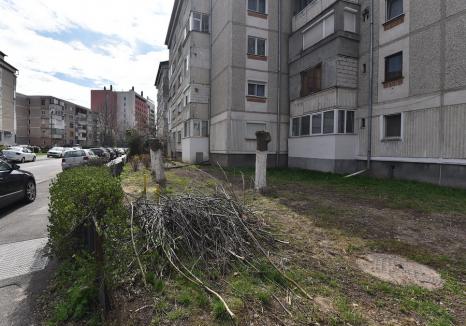 Începe campania de curățenie de toamnă în Oradea