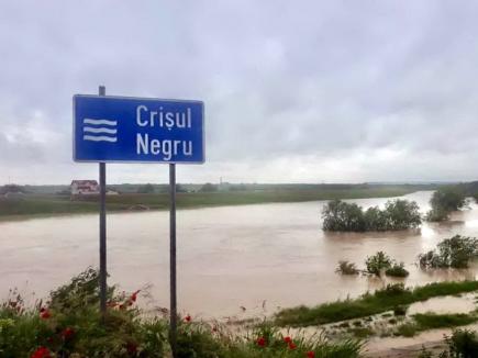 Risc de inundaţii în Bihor: cod galben pe Crişul Negru