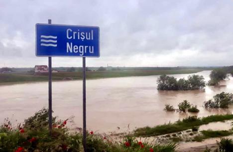 Viitura de pe Crişul Negru a ajuns în Ungaria, dar râurile din Bihor au încă debite mari