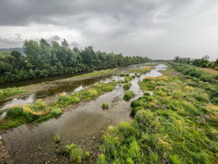 Lunca Crișului, în aval de Oradea, va redeveni zonă inundabilă, iar peștii din Tisa vor putea migra până în Bihor