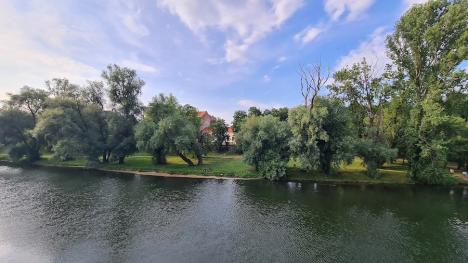 Crișul cel bogat: Tronsonul din Oradea al Crișului Repede este casă bună pentru multe specii ocrotite (FOTO)