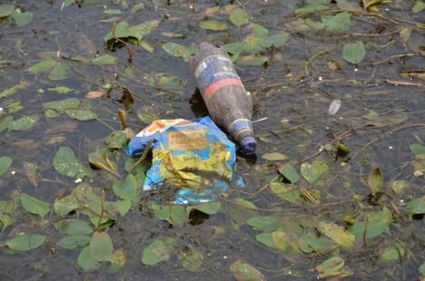 Crişul cel jegos! Din cauza secetei şi caniculei, Crişul Repede mai mult bălteşte decât curge şi s-a umplut de alge şi gunoaie (FOTO/VIDEO)