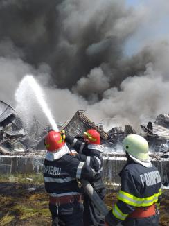 Cauzele incendiului de la Salonta, încă necunoscute. Mai mulţi localnici s-au mobilizat pentru a-i ajuta pe pompieri (FOTO / VIDEO)