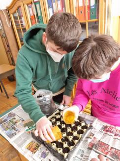 Grădina copiilor speciali: Elevii de la CSEI nr. 1 Oradea se pregătesc să cultive legume și fructe (FOTO)