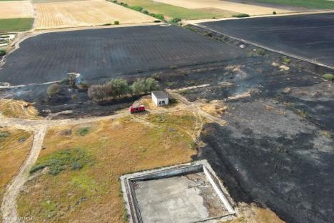 Zeci de hectare de culturi de cereale și de miriște au ars în Bihor. Cum au pornit incendiile (FOTO)